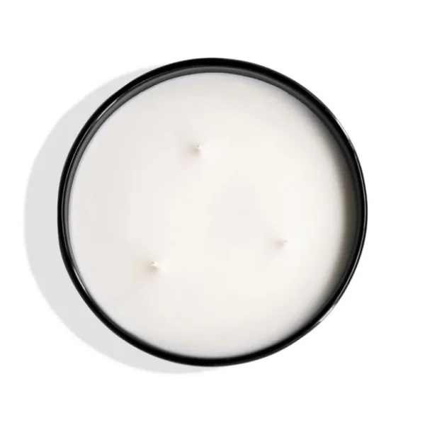 Mizensir Parfums Bois des Rois  | Large scented candle