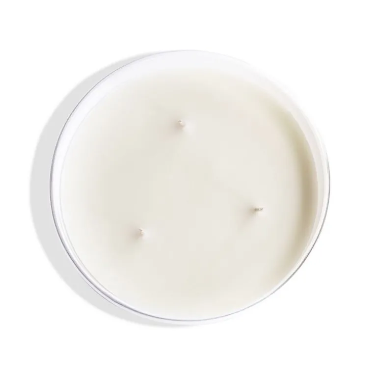 chalet_des_montagnes_larg_1.webp Mizensir Parfums Chalet des Montagnes  | Large scented candle