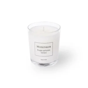 Mizensir Parfums Figuier de Sicile  | Mini scented candle