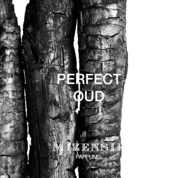 Mizensir Parfums PERFECT OUD | Eau de parfum